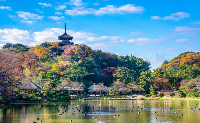横浜三渓園 大池と三重塔 紅葉 のイメージ