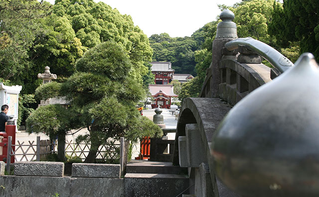 鶴岡八幡宮　太鼓橋から （写真提供：鎌倉市観光協会）　