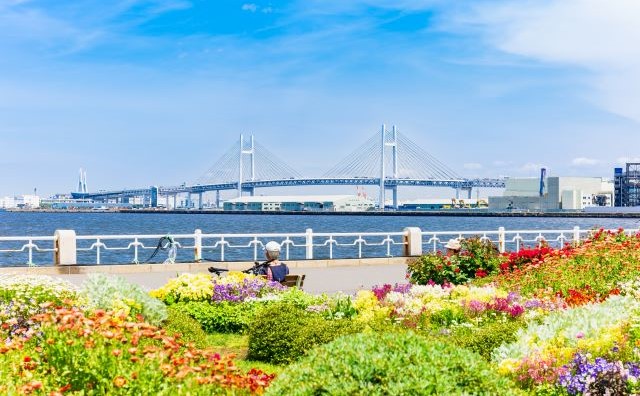 山下公園とベイブリッジ 　　　　