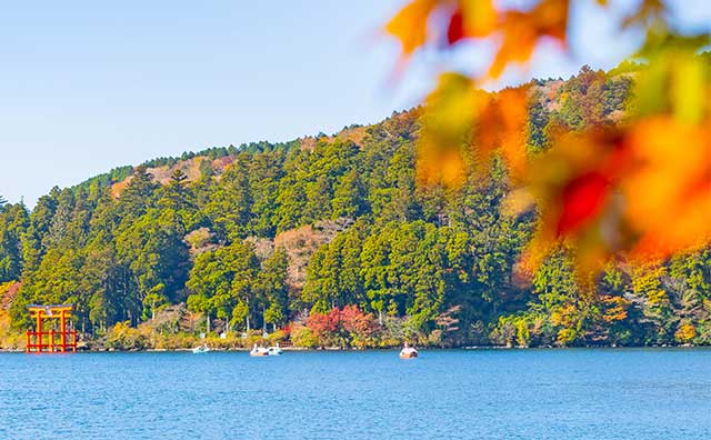 芦ノ湖紅葉（イメージ）