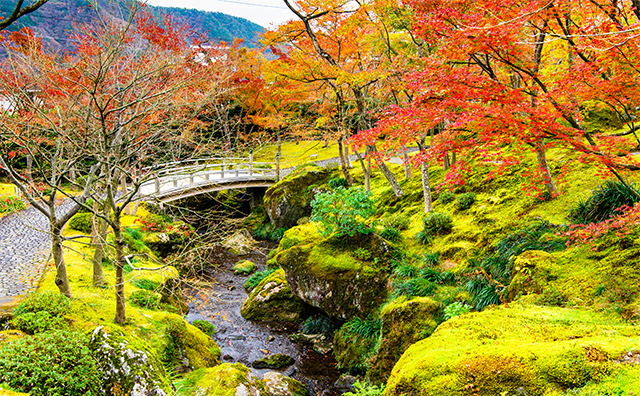 箱根美術館紅葉のイメージ