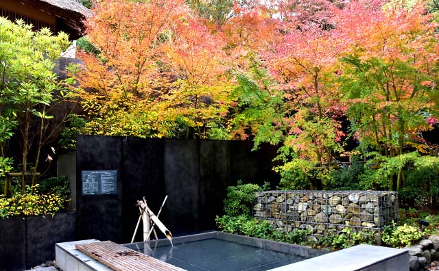 紅葉した万葉公園湯河原惣湯の足湯イメージ