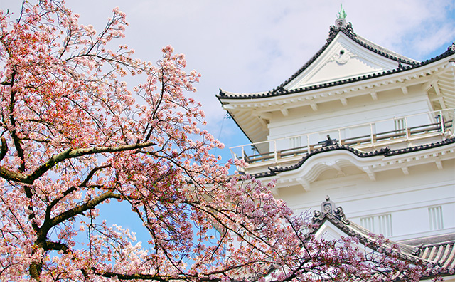 箱根 湯河原 小田原旅行 おすすめ観光スポット満載 びゅうトラベル Jr東日本