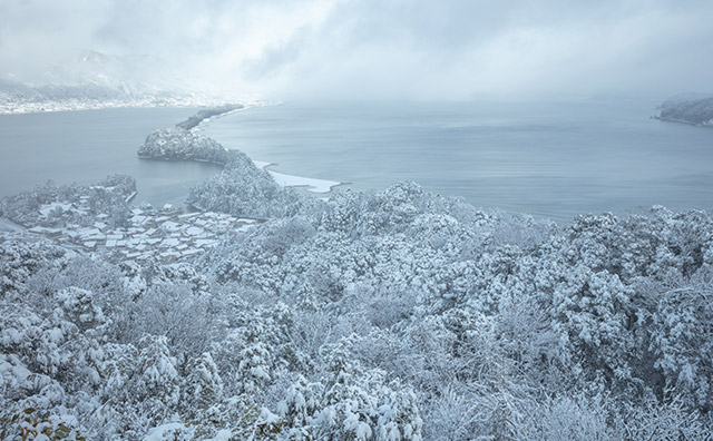 雪の天橋立