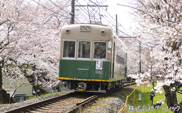 嵐電と桜