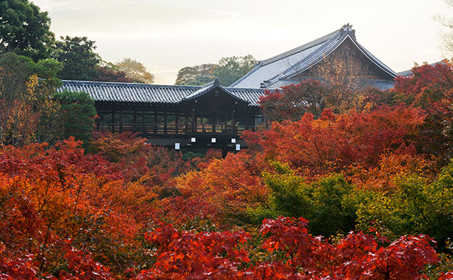 東福寺　通天橋