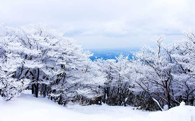 御在所岳　冬の樹氷