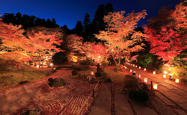 円通院　紅葉ライトアップ