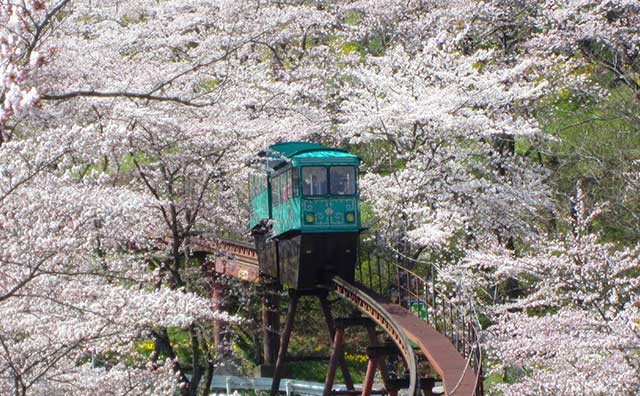 船岡城址公園 　スロープカー