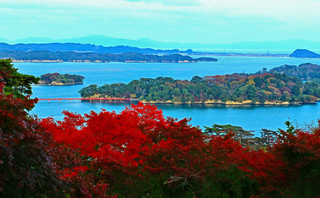 秋の松島