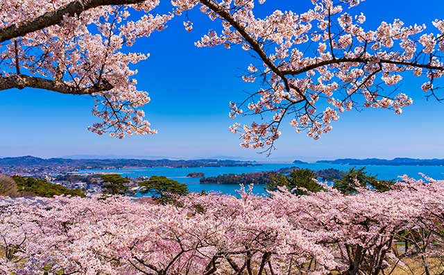 西行戻しの松公園からの風景