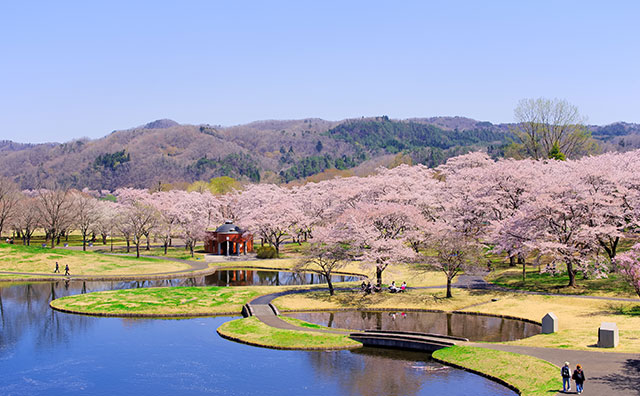 国営みちのく杜の湖畔公園