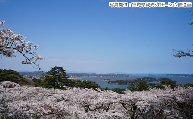 西行戻しの松公園