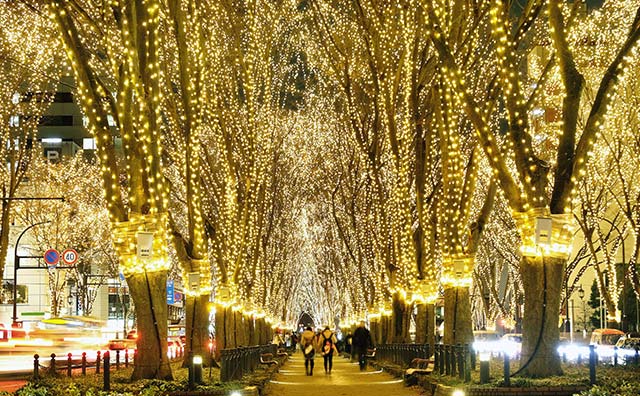 写真提供：SENDAI光のページェント実行委員会