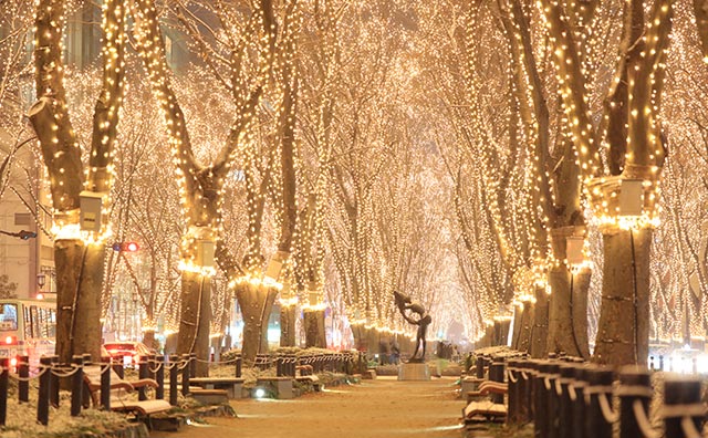 写真提供：SENDAI光のページェント実行委員会