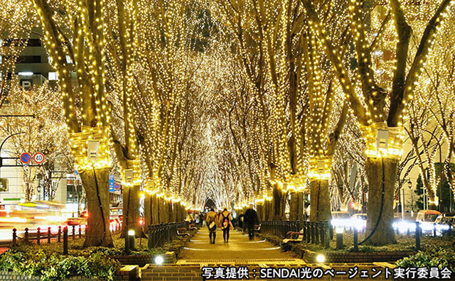 写真提供：SENDAI光のページェント実行委員会