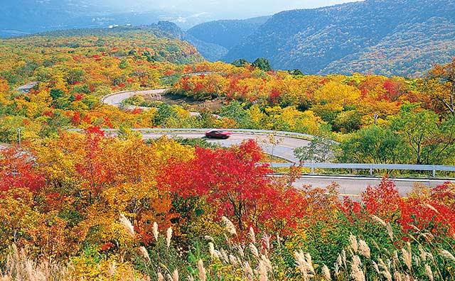 蔵王エコーライン　（写真提供：宮城県観光戦略課）