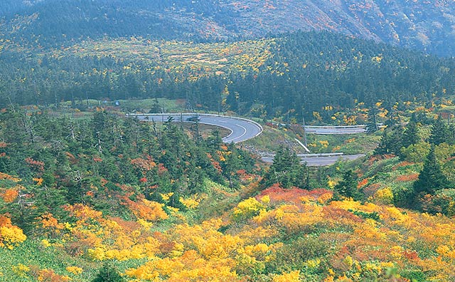 蔵王エコーライン　写真提供：宮城県観光プロモーション推進室
