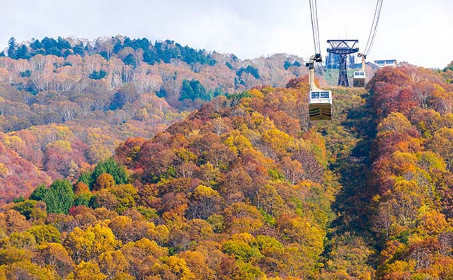紅葉とロープウェイ