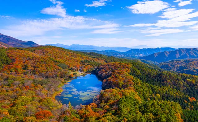 空から見た鏡池