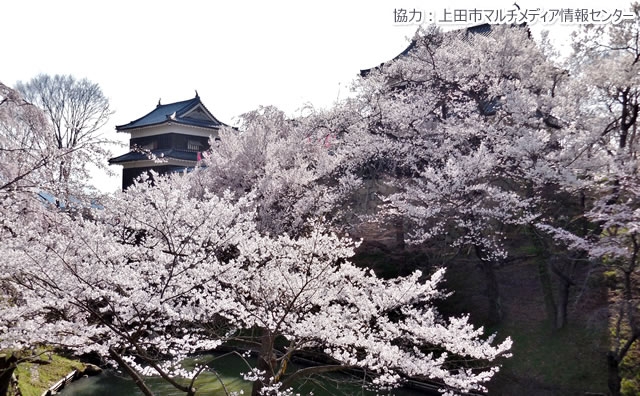 上田城跡公園