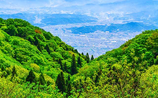 葛城山の新緑と大和盆地のイメージ