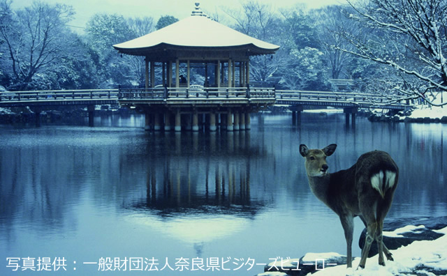 雪景色（奈良公園 浮見堂）