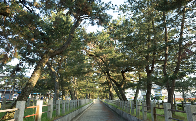 法隆寺への参道のイメージ