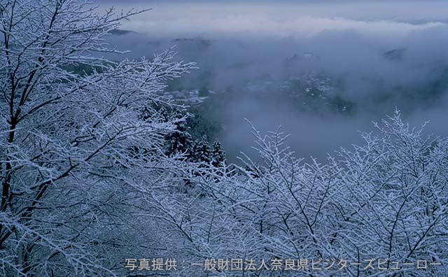 冬の時期のイメージ　©一般財団法人奈良ビジターズビューロー