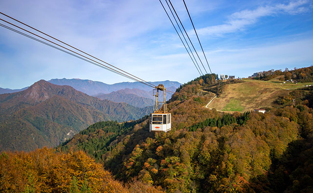 【出発日限定！10/12～11/9の土日祝】＜湯沢三山共通券付き＞三山から眺める秋景色と紅葉空中散歩を楽しもう♪