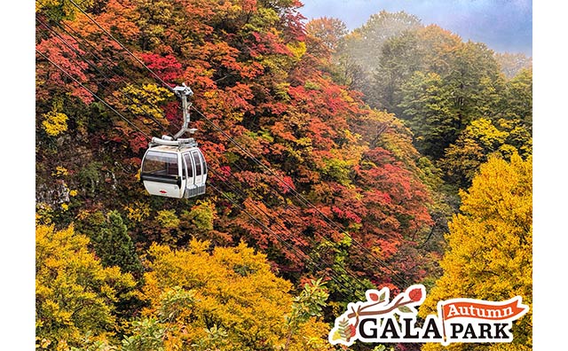 ＜GALAオータムパーク＞秋のGALAで雄大な景色を楽しむ♪　ゴンドラ券付きプラン