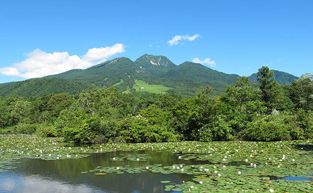 いもり池のイメージ