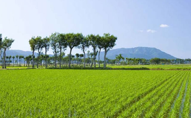 岩室温泉