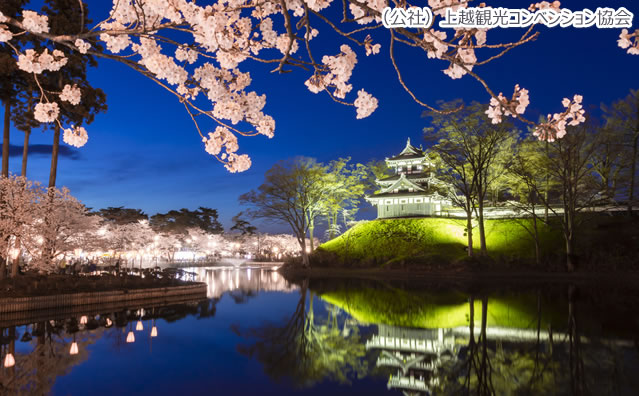 高田城址公園 のさくら