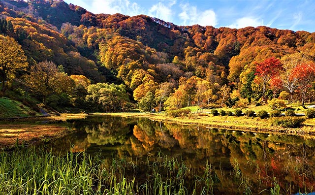 湯沢高原　紅葉