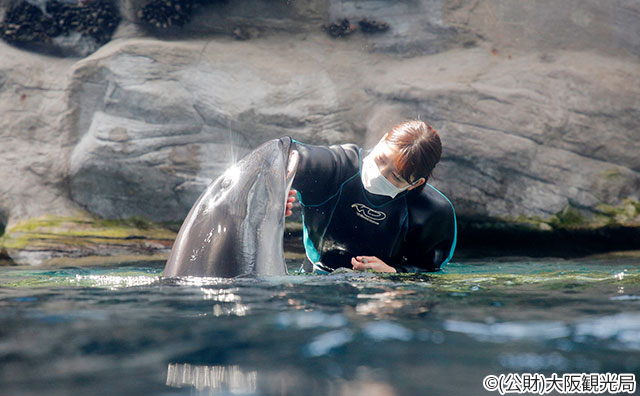 海遊館　©(公財)大阪観光局