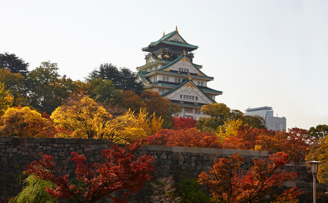 秋の大阪城 のイメージ