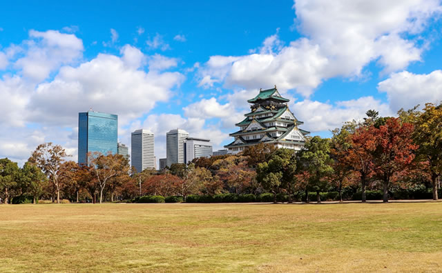 秋の大阪城公園 のイメージ