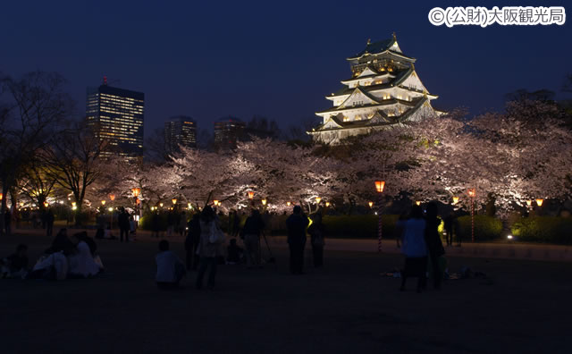 大阪城　夜桜 のイメージ