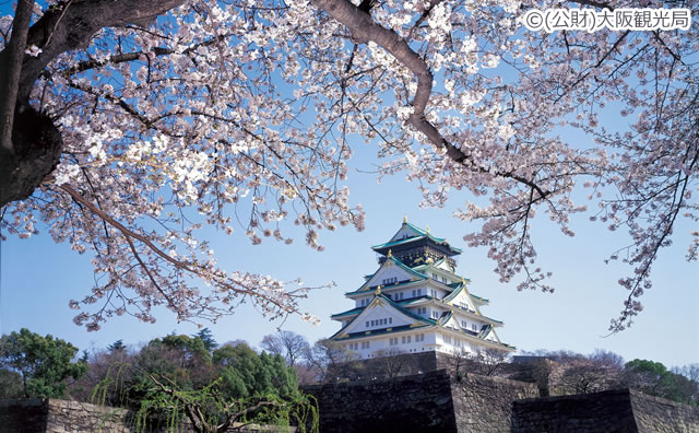 大阪城　桜 のイメージ