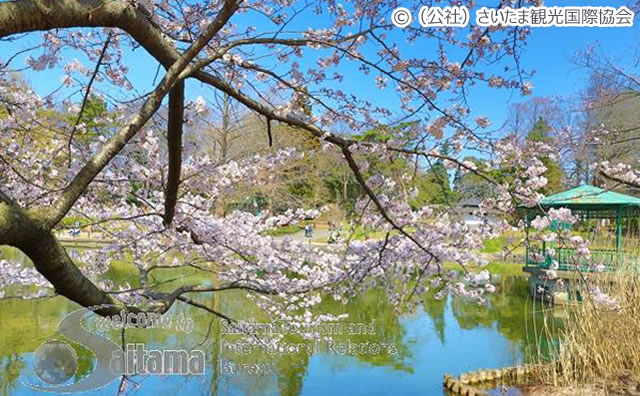 大宮公園 / （公社）さいたま観光国際協会