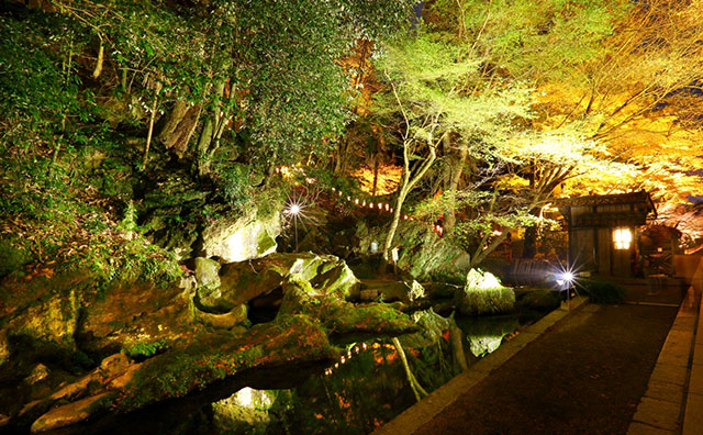 石山寺閼伽井屋（秋）