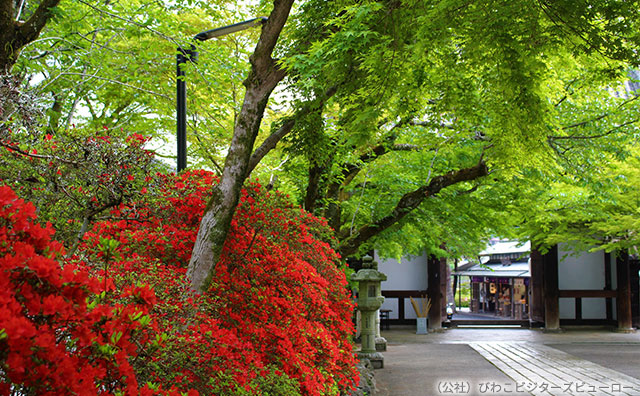 石山寺参道