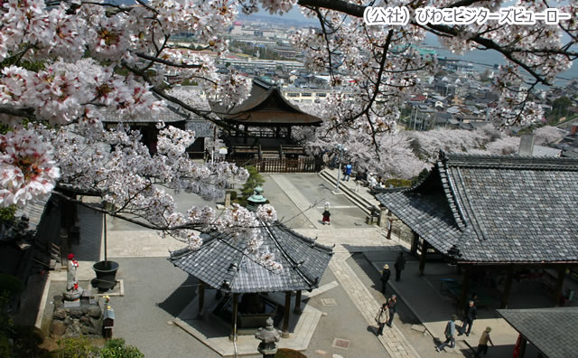 三井寺（園城寺）