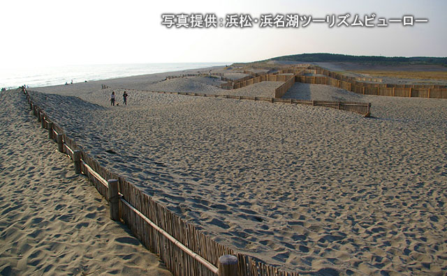 中田島砂丘のイメージ　　　写真提供：浜松・浜名湖ツーリズムビューロー