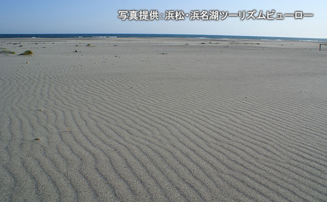 中田島砂丘のイメージ　　　写真提供：浜松・浜名湖ツーリズムビューロー