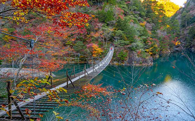 寸又峡　夢のつり橋