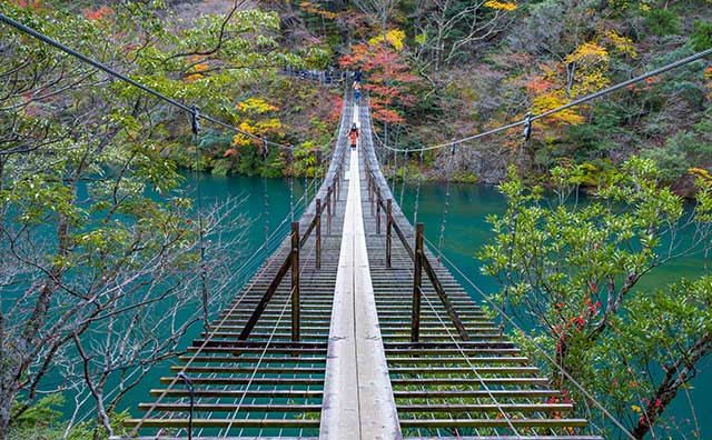 寸又峡　夢のつり橋
