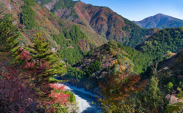 寸又峡