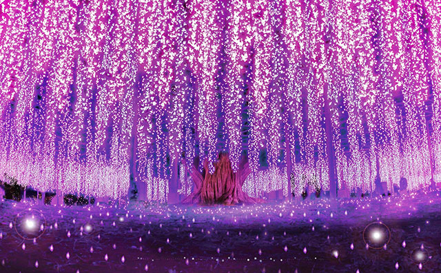 イルミネーション 奇蹟の大藤2021